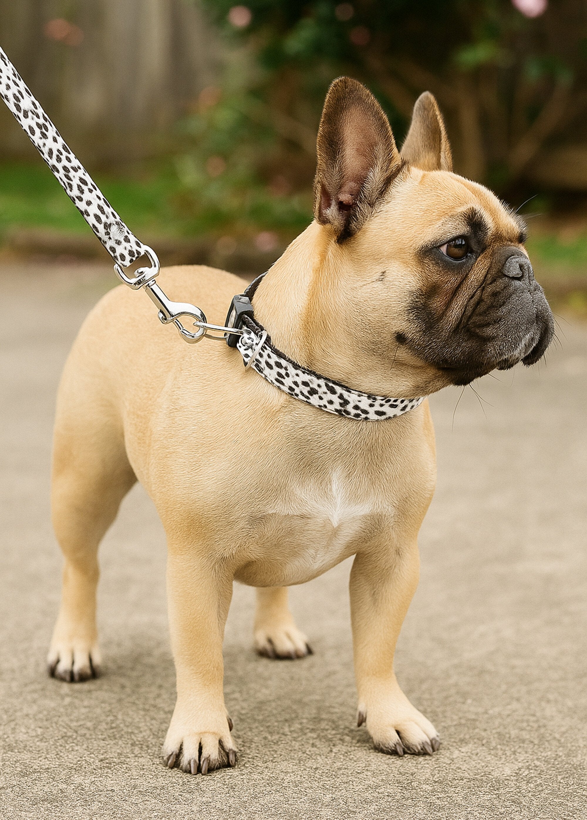 Collar_y_correa_para_perro_con_estampado_de_leopardo_Blanco,_Blanca_SF1_slim