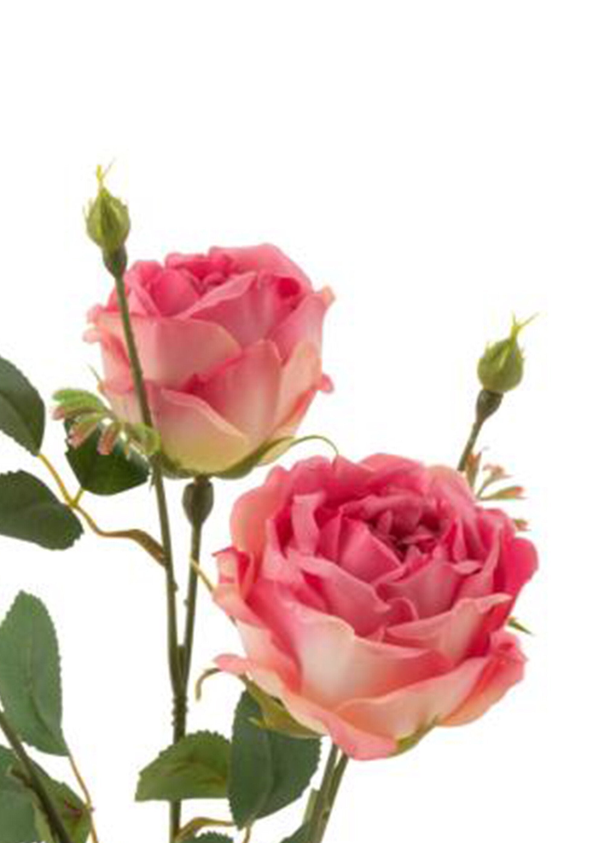 Rosas_de_tela_con_tallo_y_hojas_Rose_DE1_slim