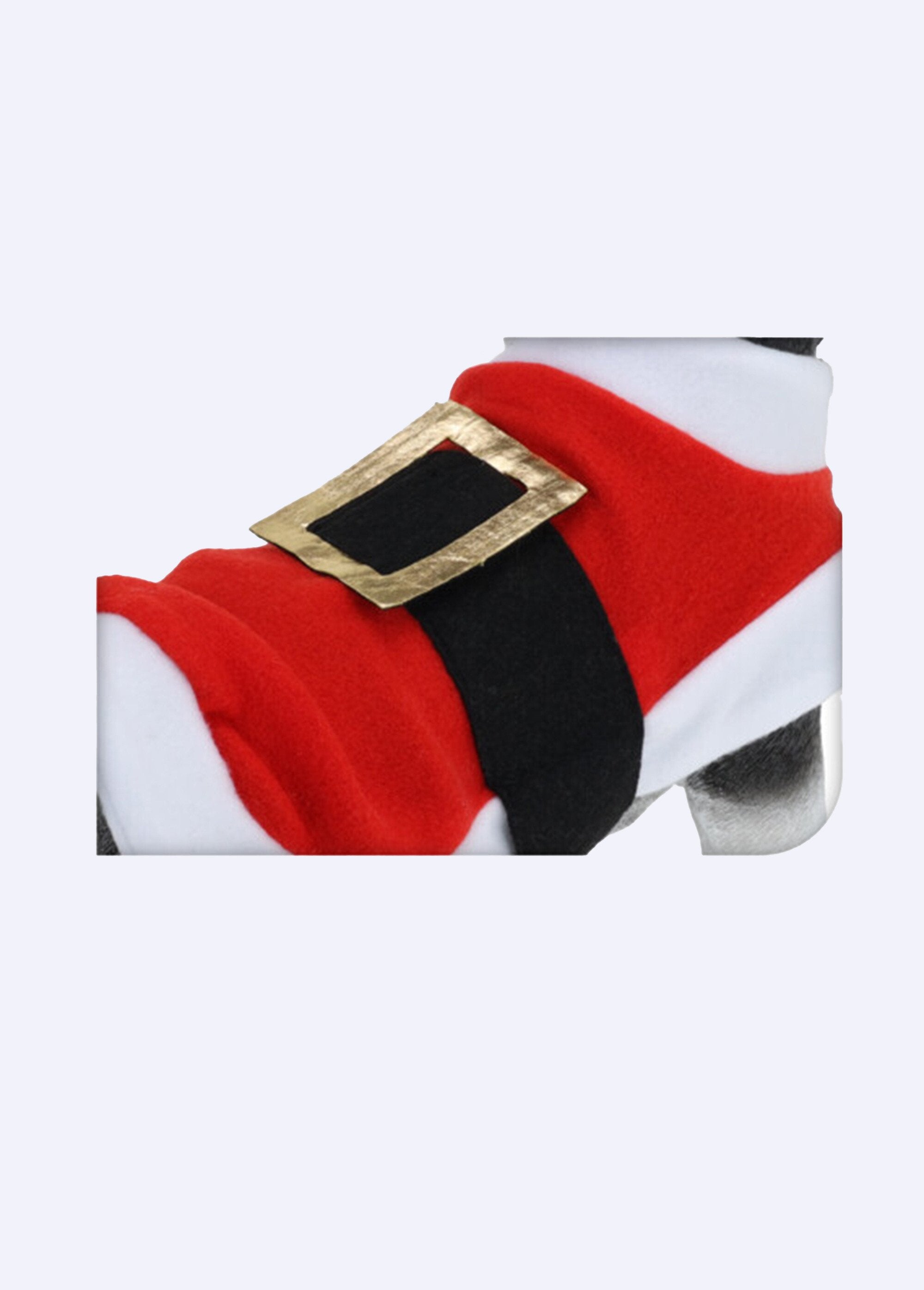 Divertido_abrigo_para_perro_con_temática_de_Papá_Noel_Rojo_DE1_slim